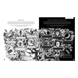 Wide Eyed Editions Illumibugs - 6