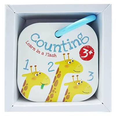 Yoyo Books Counting Learn In A Flash - 1