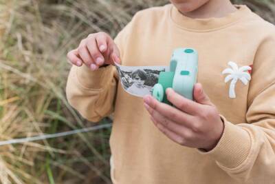 Zoo Family 3-Pack Adhesive Paper Roll Set - 2