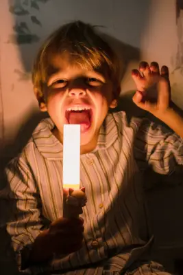 Zoo Light Fox Multipurpose Children's Night Light - ZL1F - 5