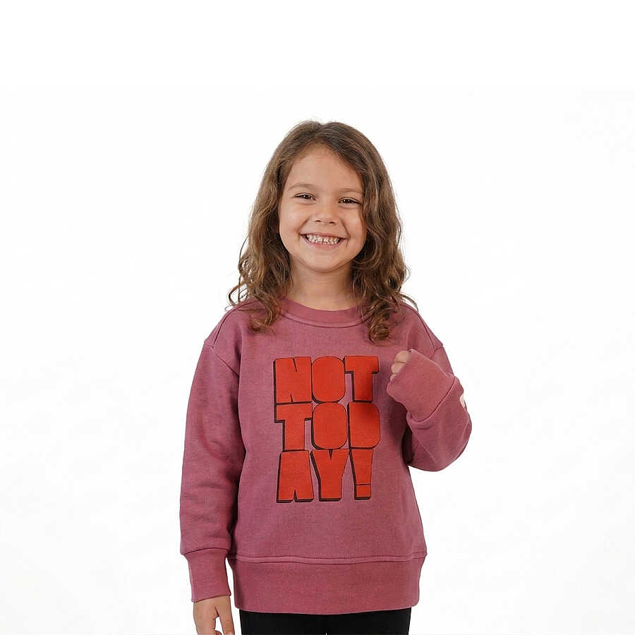 HUPALUPA Basic Sweatshirt Dar Kalıp Gül Kurusu Not Today 5-6 Yaş