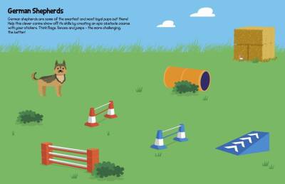 Imagıne That 555 Sticker Fun - Cats And Dogs Activity Book - 3