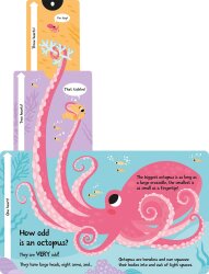 Imagine That How Wide Is A Whale - Board Book - 3
