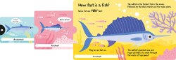 Imagine That How Wide Is A Whale - Board Book - 6