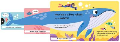 Imagine That How Wide Is A Whale - Board Book - 7