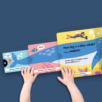 Imagine That How Wide Is A Whale - Board Book - 9