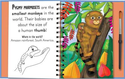 Imagine That Magic Water Colouring - Baby Animals - 4