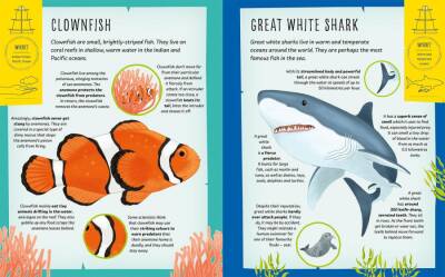 Imagine That My Incredible Ocean Expedition - 3