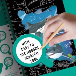 Imagine That Sharks - Scratch Discover And Learn - 3