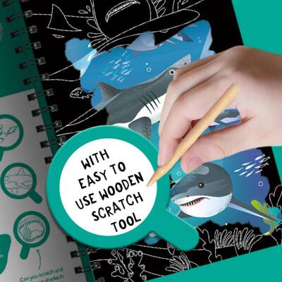 Imagine That Sharks - Scratch Discover And Learn - 3