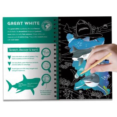 Imagine That Sharks - Scratch Discover And Learn - 2