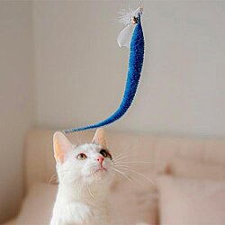 Kikkerland Pet-Kedı Oyuncagı Wand Cat06 - 2