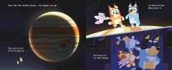 Ladybird Bluey: Sleepytime - 3