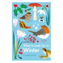 Ladybird What To Look For In Winter - Ladybird