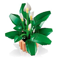 Lego Botanicals Barış Çiçeği 11504 - 3