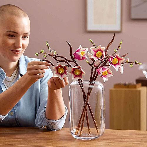 Lego Botanicals Manolya Dalları 11510 - 2