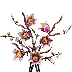 Lego Botanicals Manolya Dalları 11510 - 3