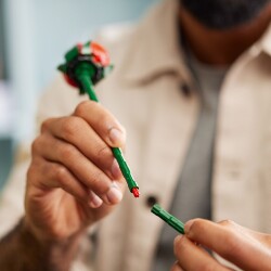 Lego Gül Buketi V29 10328 - 7