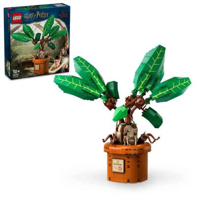 Lego Harry Potter Adamotu Bitkisi 76433 - 1