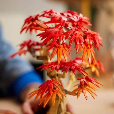 Lego Botanicals Japon Kırmızı Akçaağaç Bonsai Ağacı 10348 - 4