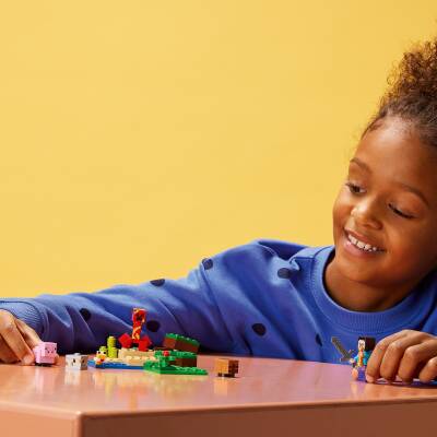 Lego Minecraft 21177 - 5