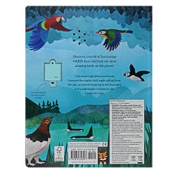 Little Tiger Sounds Of The Skies - 2