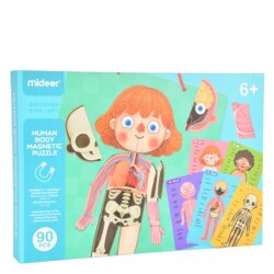 Mideer Vücut Mıknatısı Ct7013 - Mideer