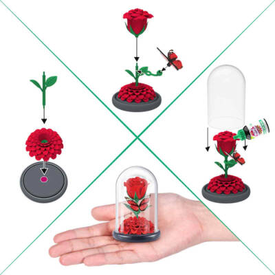 Mini Botanik Bahçe Sürpriz Paket Mn800010 - 2