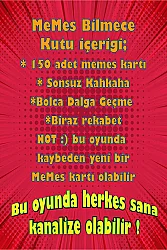 Mole Memes Bilmece Kutu Oyunu - 5