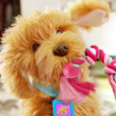 My Fuzzy Friends Sevimli Labrador Sesli ve Hareketli Moji Türkçe 18207-MYJ00101 - 3