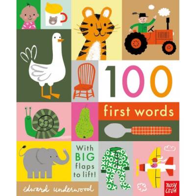 Nosy Crow 100 First Words - 1