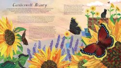 Nosy Crow National Trust: Butterfly Skies - 2