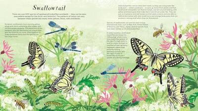 Nosy Crow National Trust: Butterfly Skies - 3