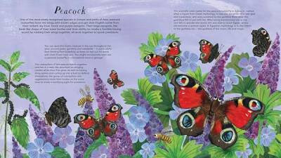 Nosy Crow National Trust: Butterfly Skies - 5