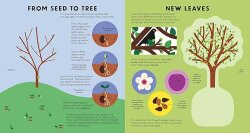 Nosy Crow Tree Book - 3