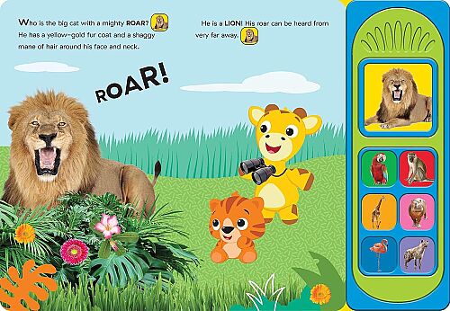 Pi Kids Baby Einstein: Animal Sound Safari - 3