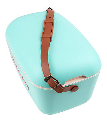 Polarbox Verde Agua - Rosa Baby Classic  Soğuk Tutucu Çanta 20L 9210 - 2