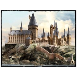 Prime 3D Harry Potter 500 Parça Çift Taraflı Puzzle Prm/37579 - 2