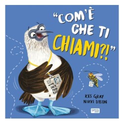 Sassı Come Che Ti Chiami - Sassi Junior