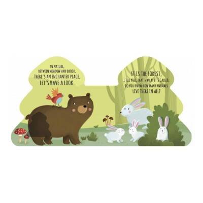 Sassı Friends Of The Forest - Shaped Board Book - 2