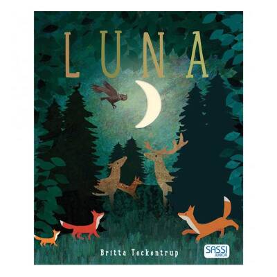 Sassı Luna - 1