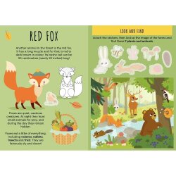 Sassi The Forest - Sticker And Activities - 2