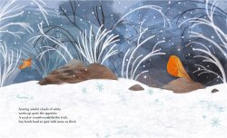 Sassi Winter - 3