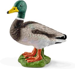 Schleich Erkek Ördek 13824 - Schleich