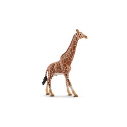 Schleich Erkek Zürafa 14749 - Schleich