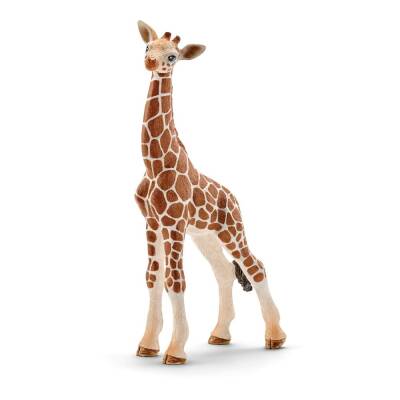 Schleich Yavru Zürafa 14751 - 1