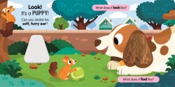 Sensory Pets - 2