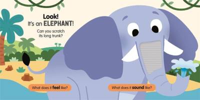 Sensory Safari - 2