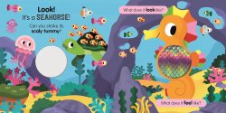 Sensory Seaside - 2