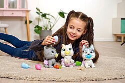 Simba Pamper Petz Husky Sürpriz Paket Evcil Hayvan Eğlencesi - 4